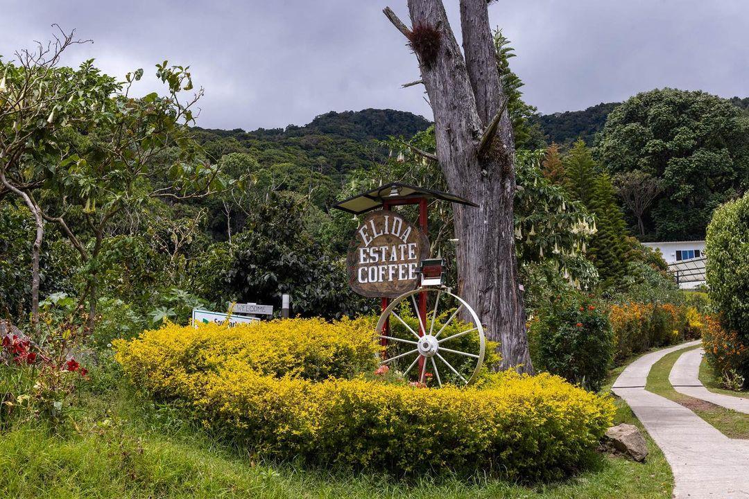 Finca Élida Estate