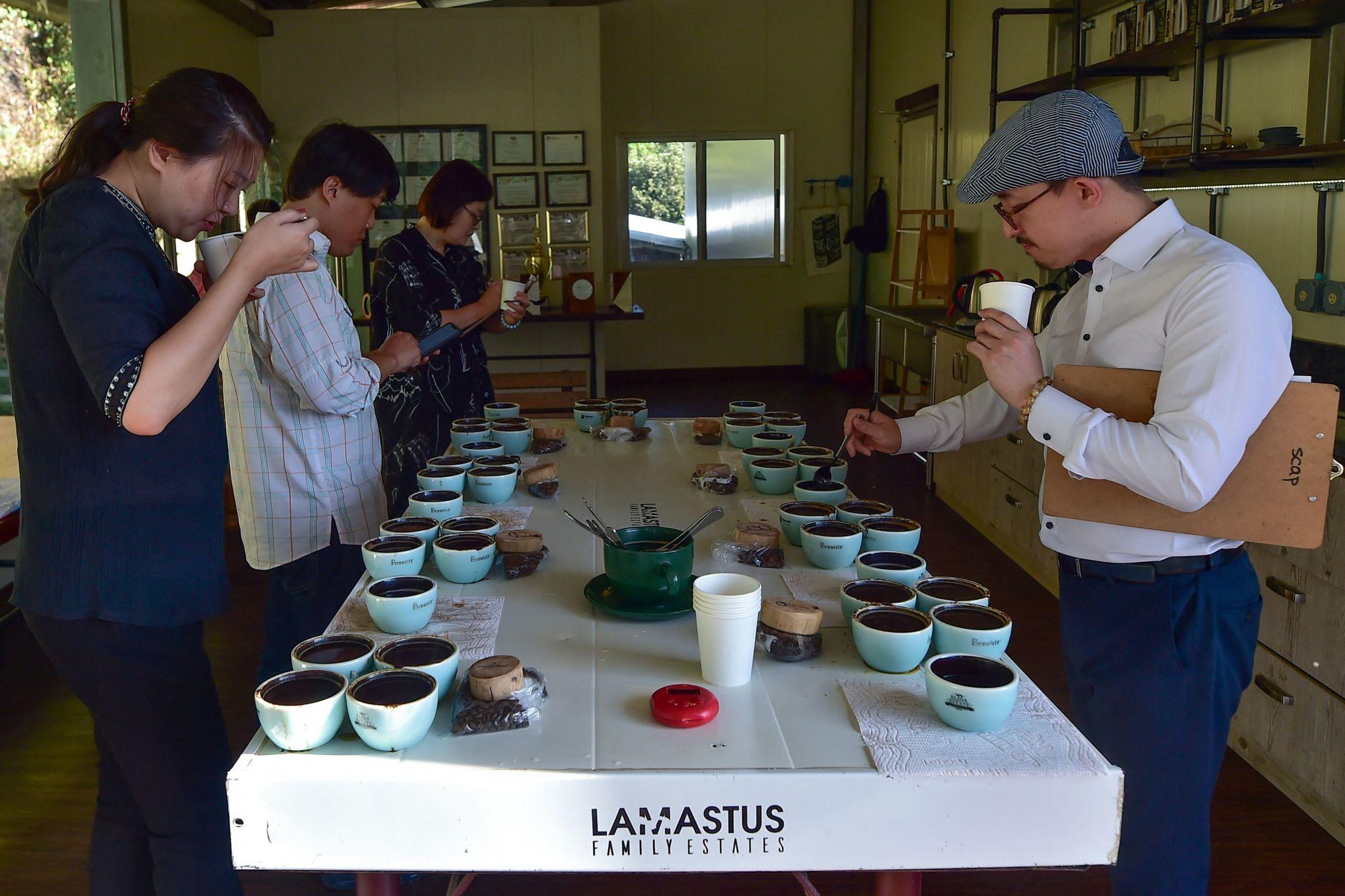 Lamastus Family Estates