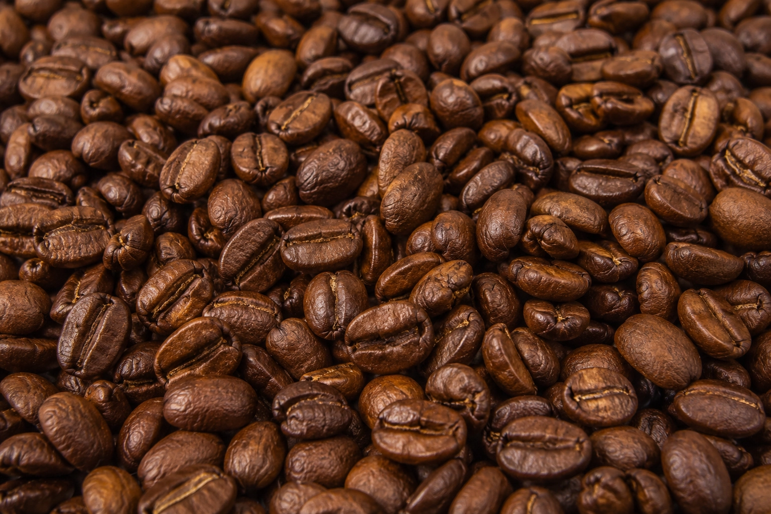 Cosecha de café en América