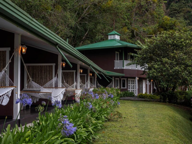 Finca Lérida Coffee Estate