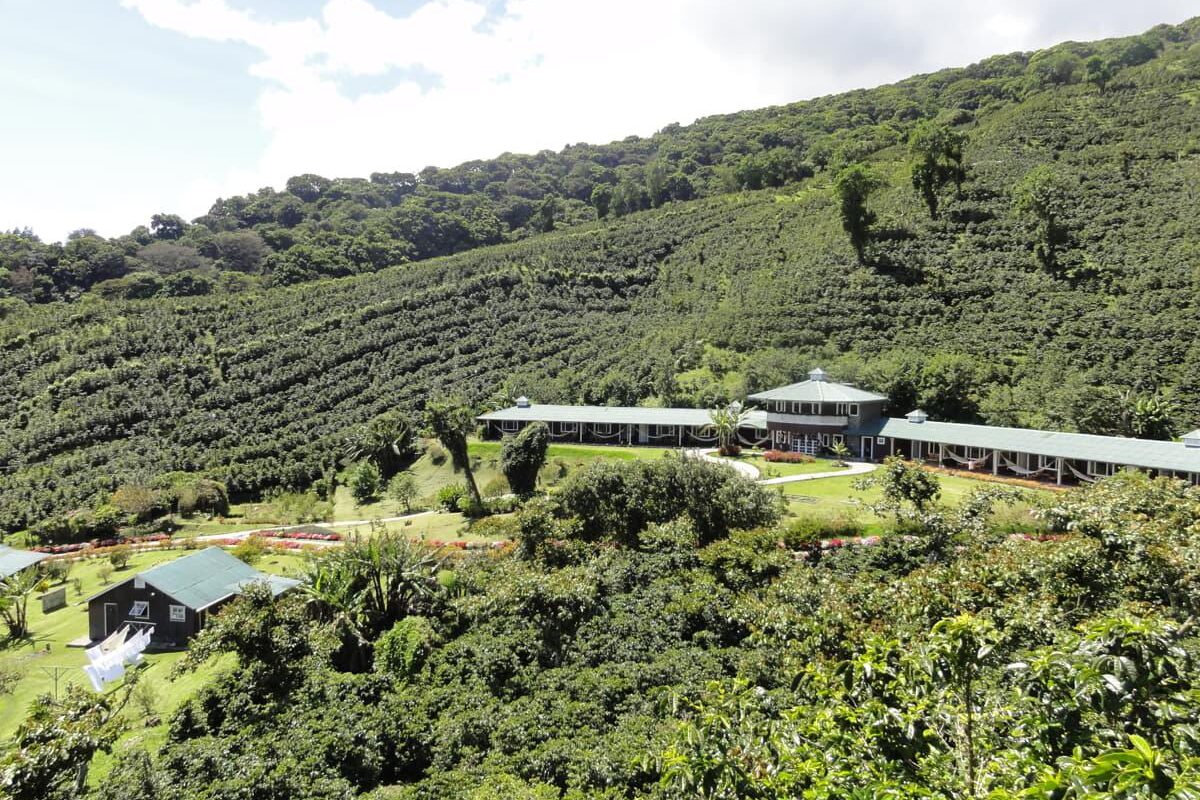 Finca Lérida Coffee Estate – vista