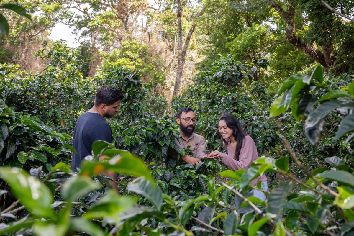 Finca Lérida Coffee Estate – galería